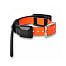 GPS collar for another dog - DOG GPS X25