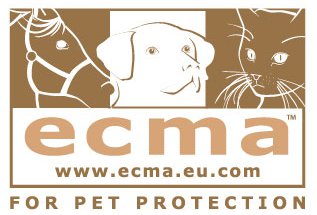 logo ecma