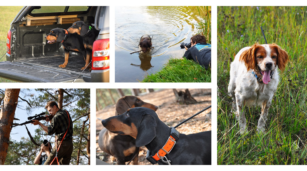 Fotostřípky z natáčení promo videa na DOG GPS X20