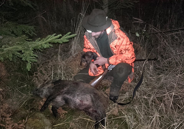 jezevčice s panáčkem trénují na barvářské zkoušky s novým GPS obojkem  