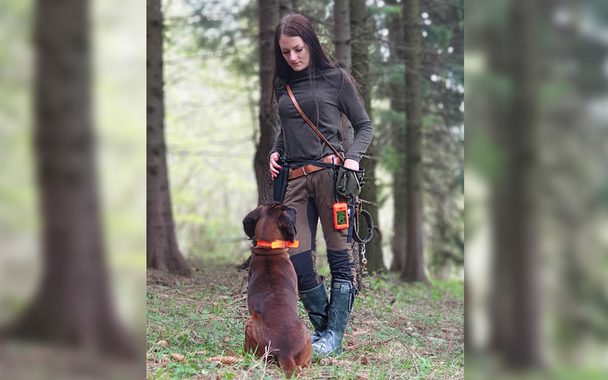 Používate psy pri naháňačkách a chcete mať dokonalý prehľad o ich práci?