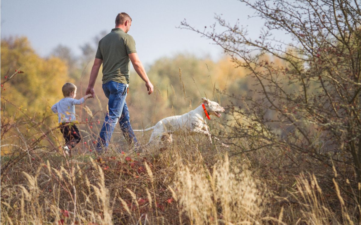 Recenzie a hodnotenia