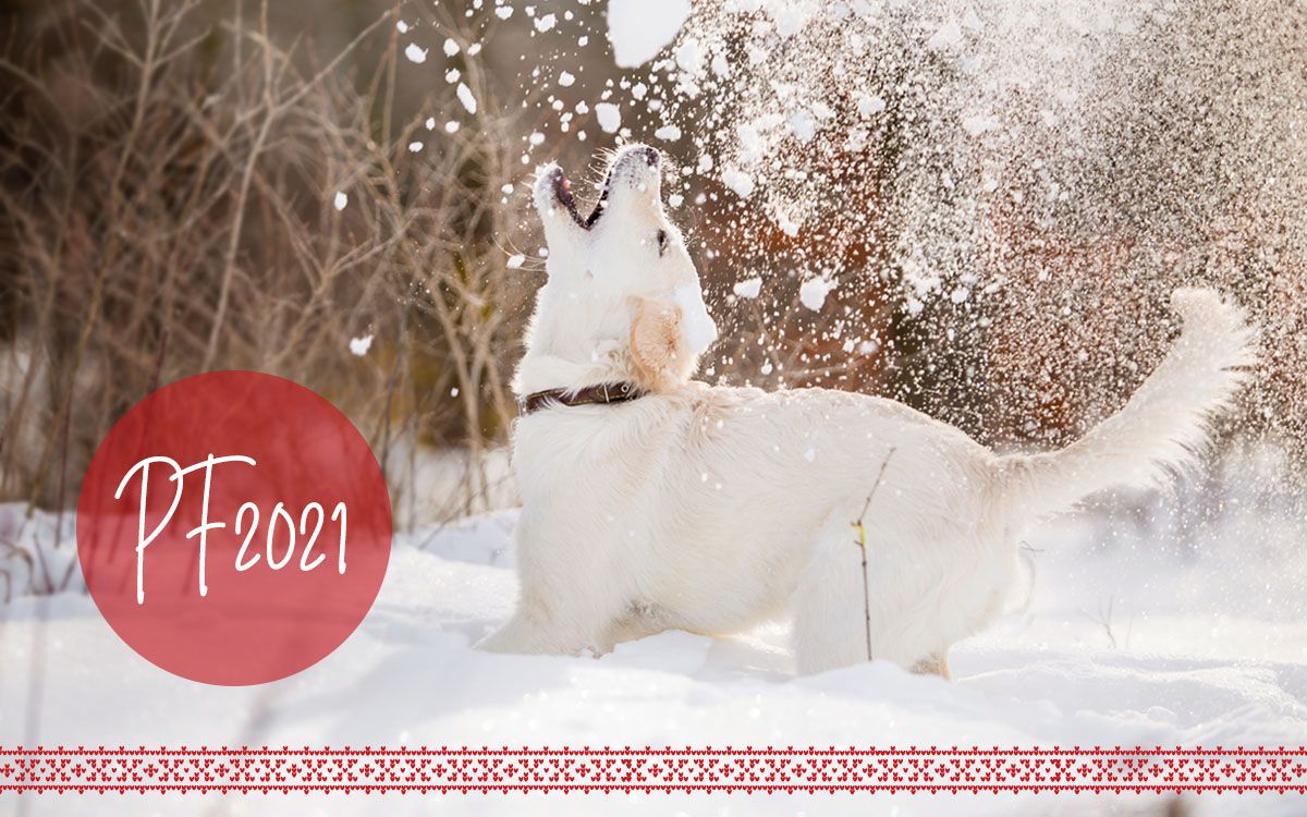 Krásné svátky VÁNOČNÍ a naše DOBA provozní