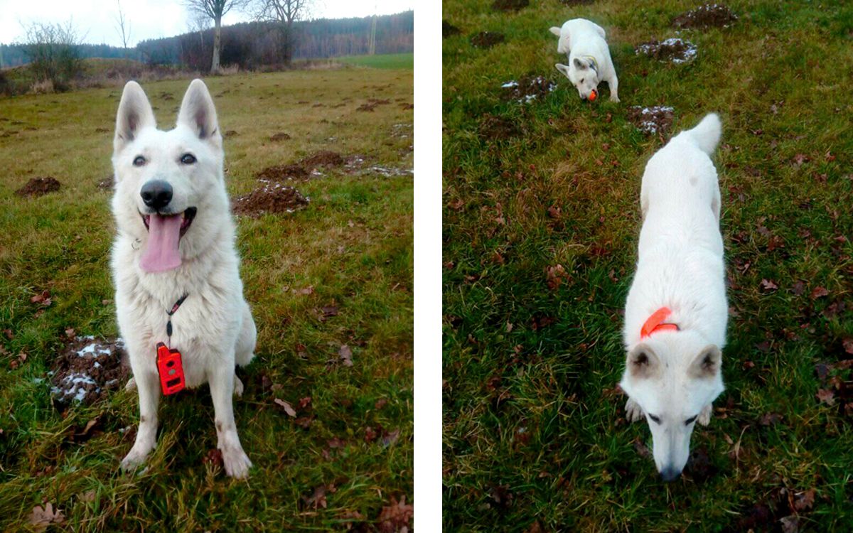 Pomysłowo przemyślane funkcje