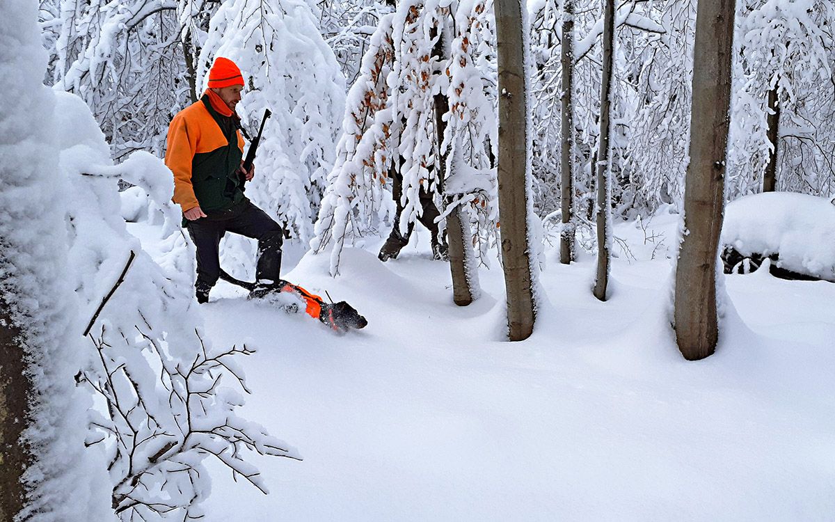 Opowieść z polowania