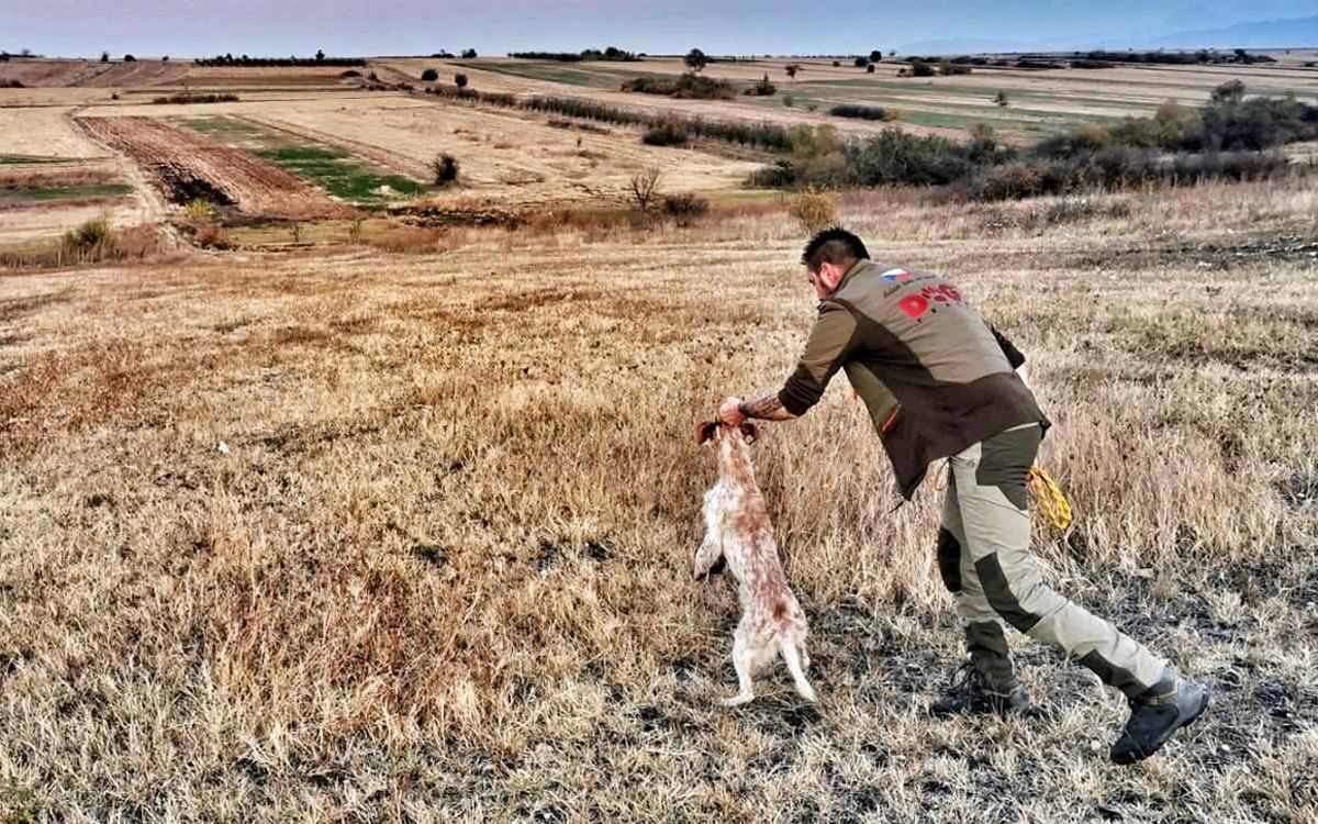 O produktach Dogtrace - część pierwsza