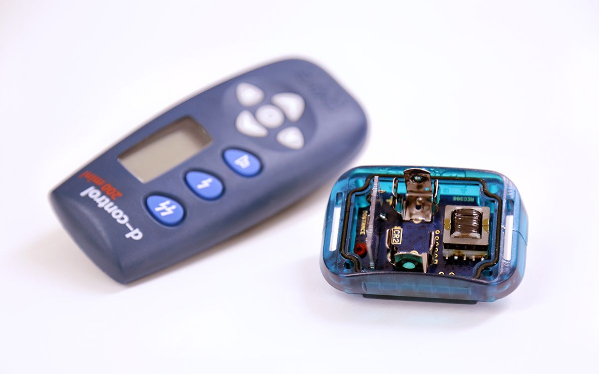 Recenzje i oceny usług