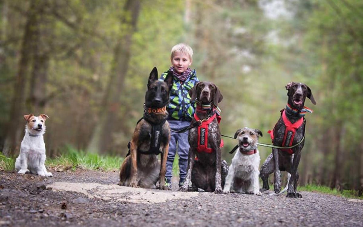 Chodíme plávať a na túry s Dogtrace