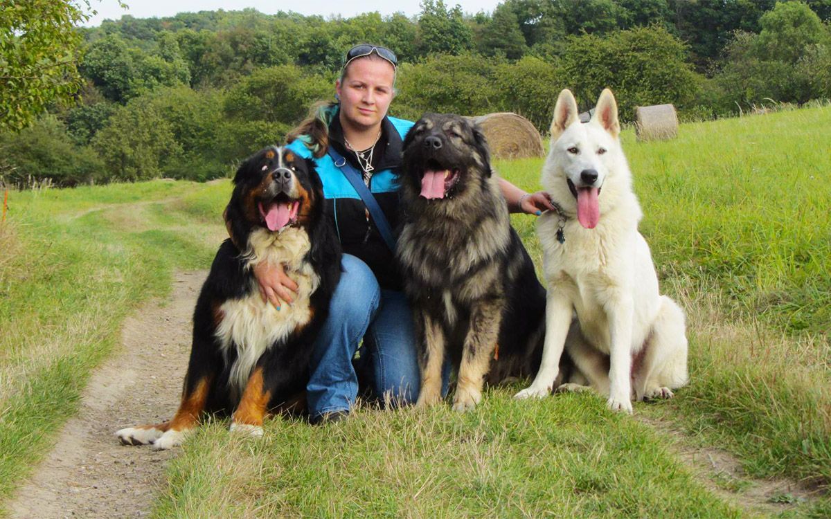 Nie chcę szarpać za linkę z moim psem. Używam obroży Dogtrace od 7 lat.