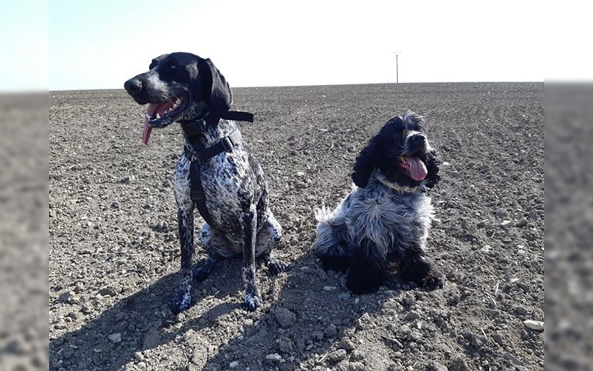 Instynkt łowiecki jest numerem 1