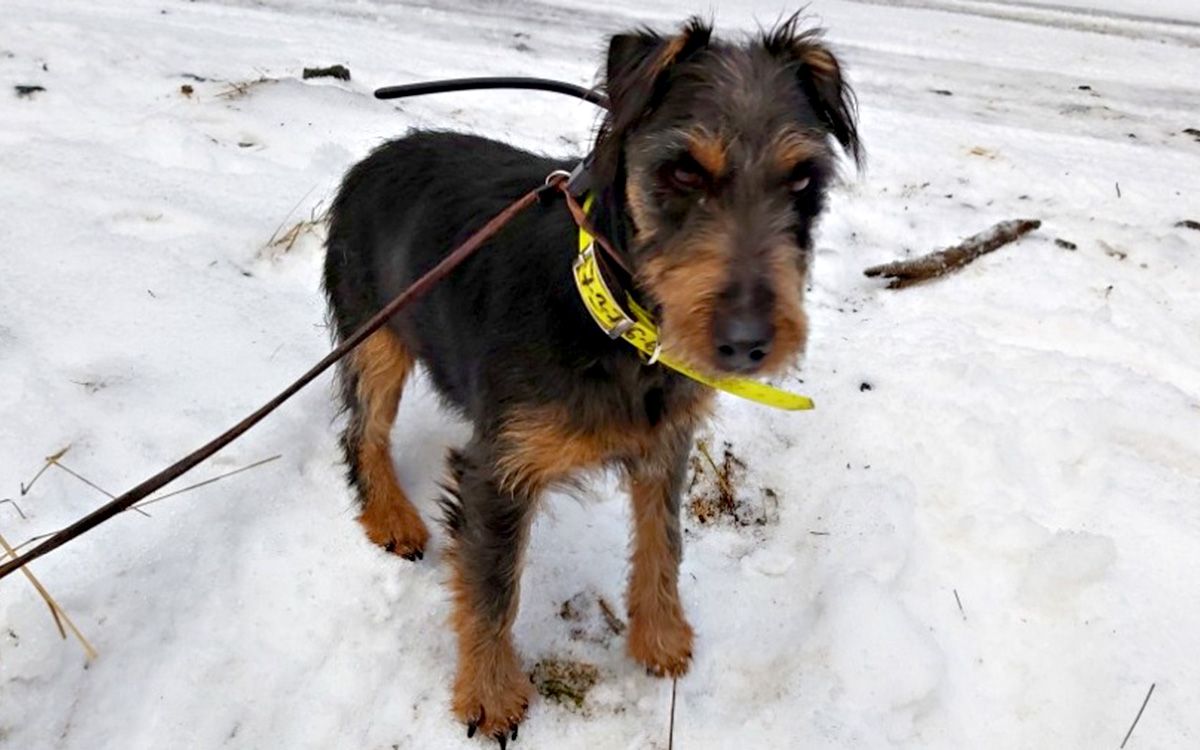 Maximální spokojenost již druhým rokemMartin Pavlíček