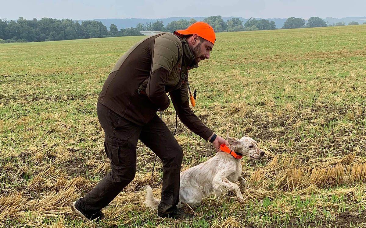 O produktach Dogtrace - Tom 6. Wolność...