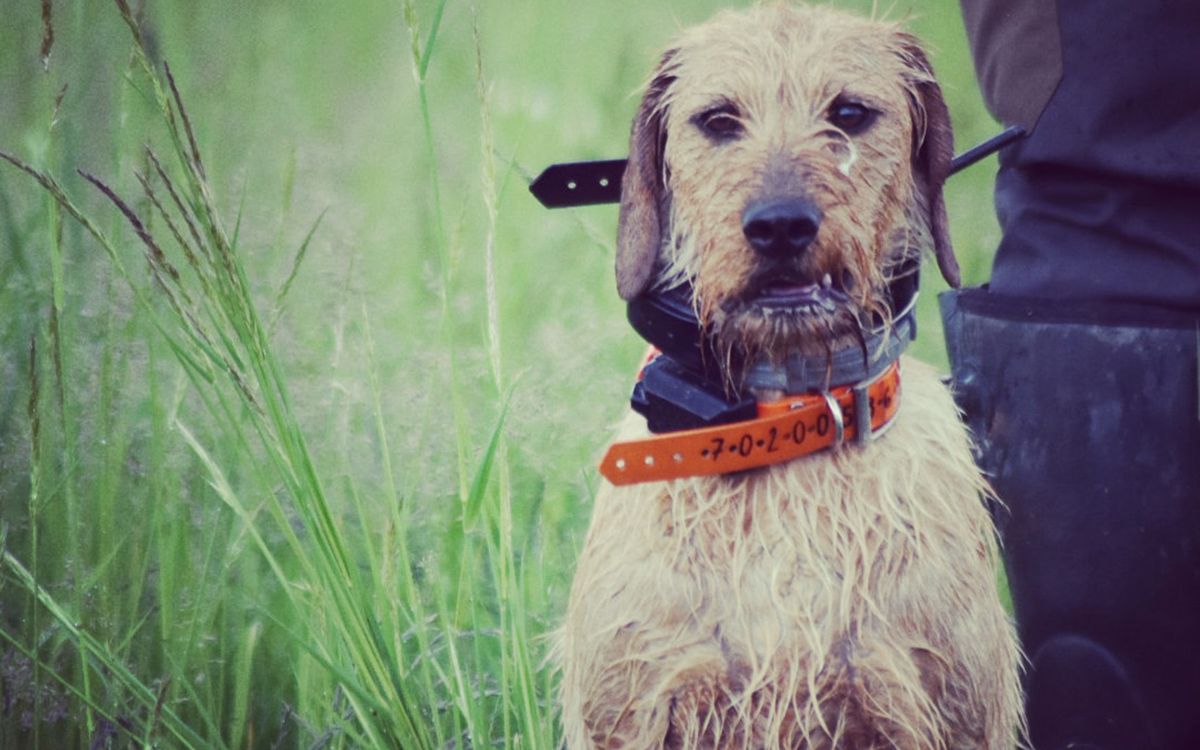 "S GPS X20 sa nemusím obávať straty signálu"hovorí Monika Formánková