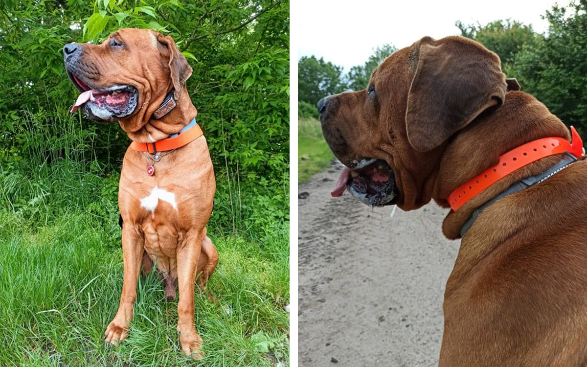 Zające i inne bestie nie będą już o nas decydować