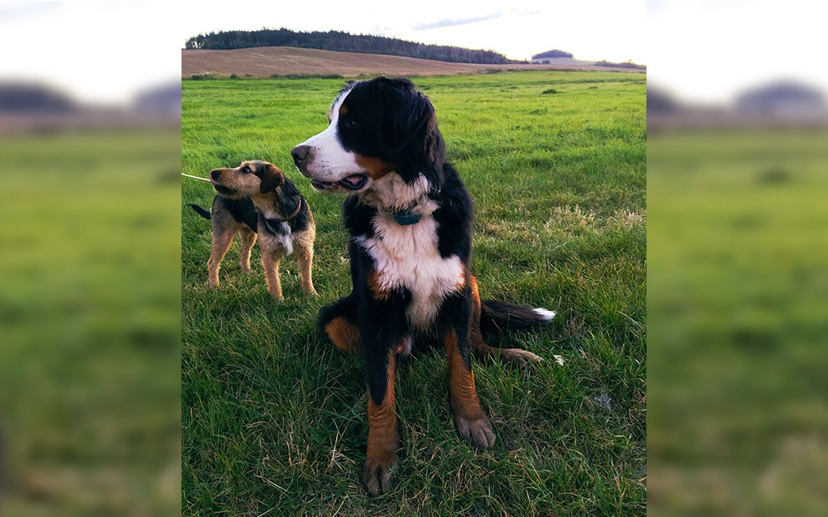 "S výrobkem jsem maximálně spokojená"říká Romana Bestrejková
