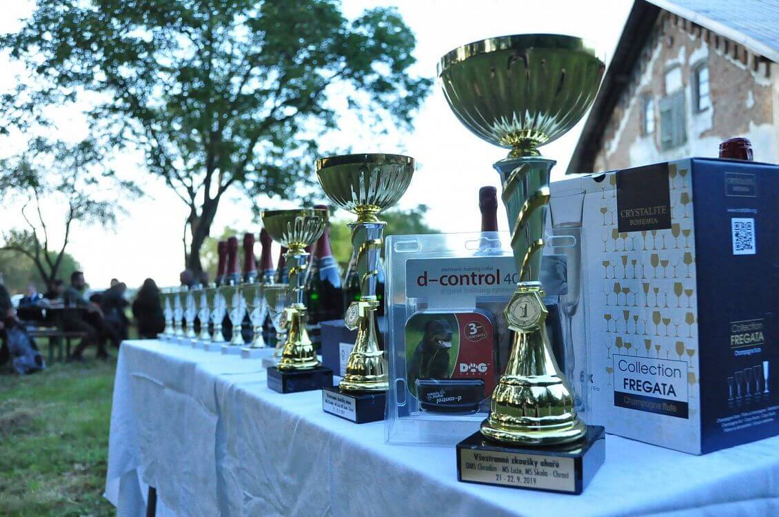 Wszechstronne próby wyżłów i zawody "O Puchar Gubernatora Kraju Pardubickiego"