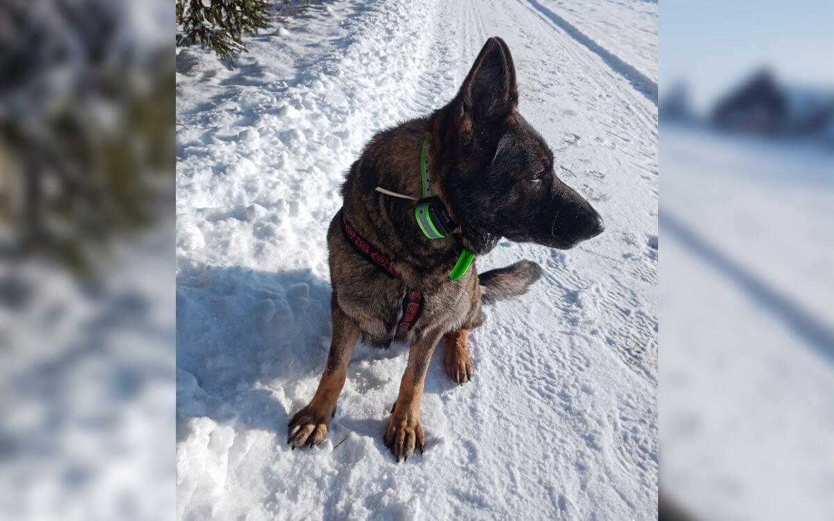 Spacerz bey szwanku
Iva Peterková
