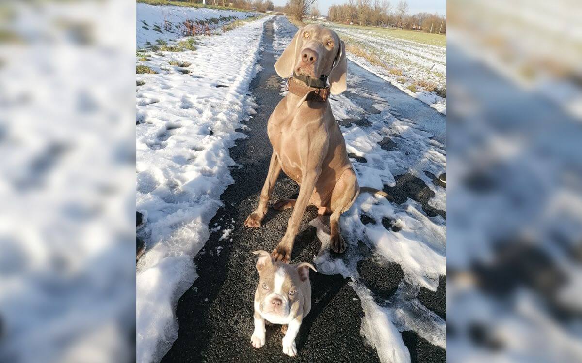 "Wystarczy, że usłyszymy dźwięk, a on będzie wiedział, że ma wracać. Poza tym nie krzyczę na całe gardło".
mówi Lenka Ploszková .