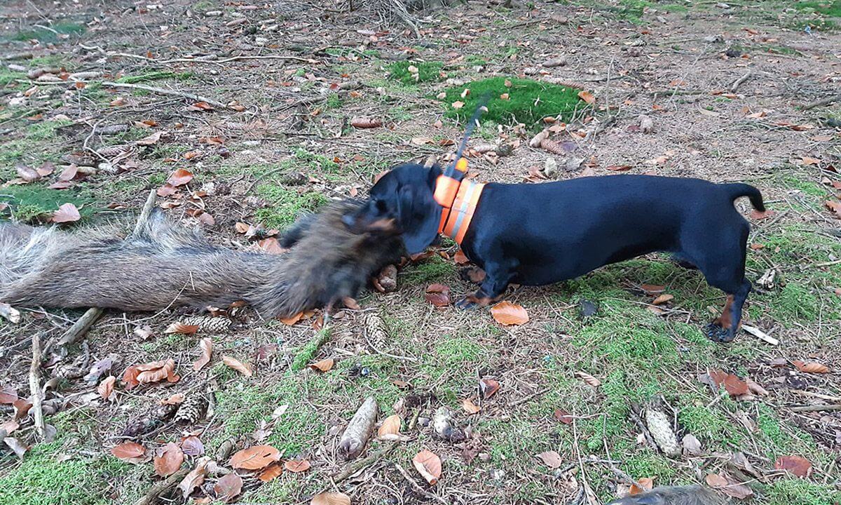 "Doceniam fakt, że mogę wrócić do zapisanych tras"mówi Jiří Cikryt.