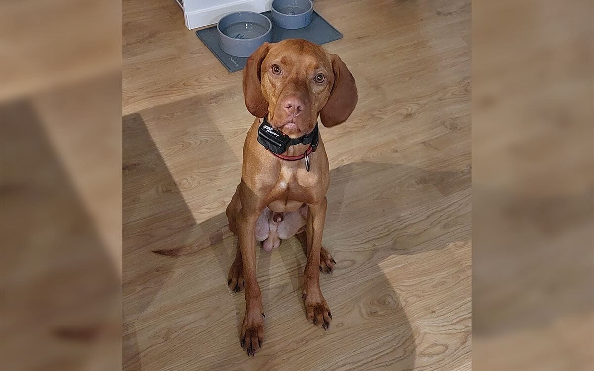 „Vyhotovenie je z pevných materiálov“
říká Michal Sedlák