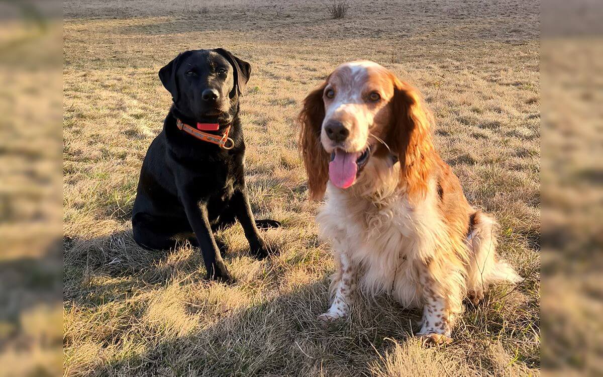 "Dzięki kołnierzowi d-control 1000 udało nam się zarządzać krawężnikami z poziomu gruntu"mówi Lucia Rusnáková