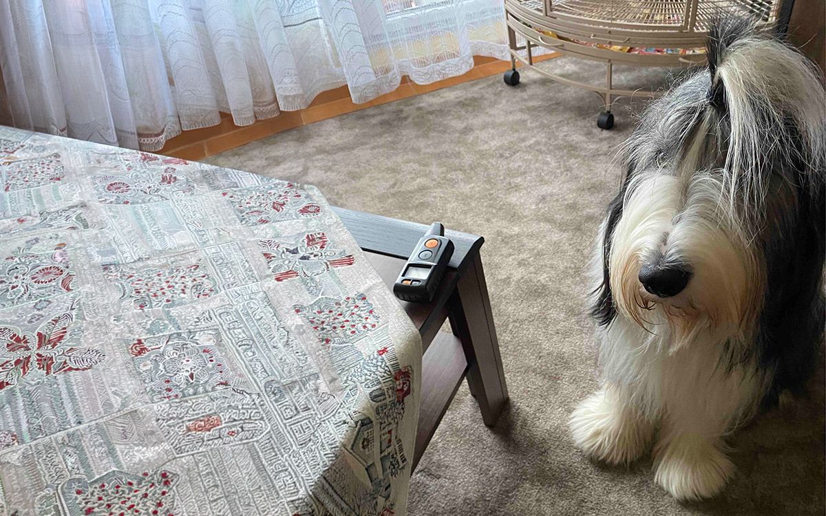 "Pokojnú prechádzku bez obojka Dogtrace si už neviem predstaviť"hovorí Daniela Pečená