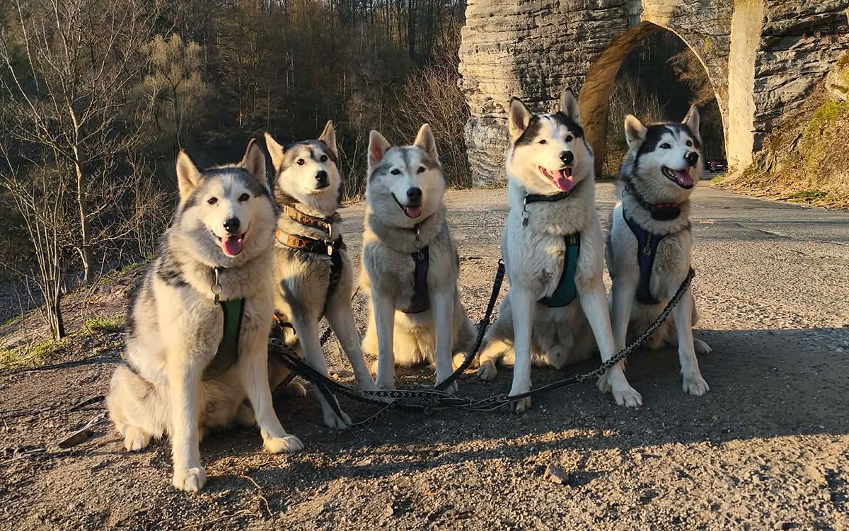 "S trackerom DOG GPS ultra viem presne, kde sa moje psy nachádzajú"hovorí Monika