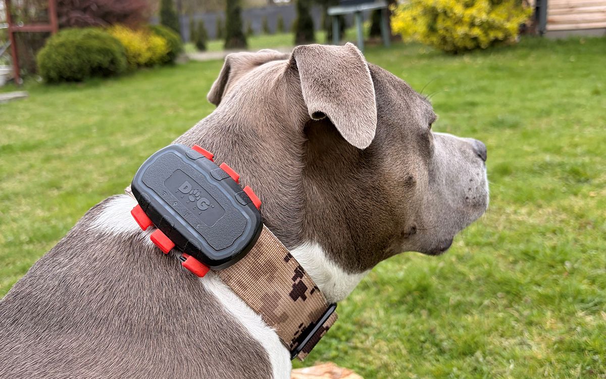 "Žiadny stres a 100% kontrola"hovorí Patricia