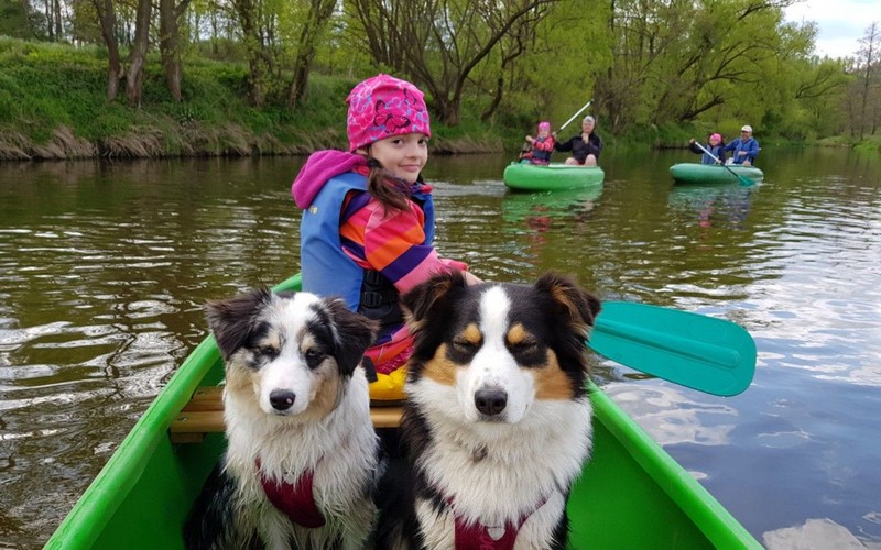Elektronické obojky sú skvelé aj na vodu!