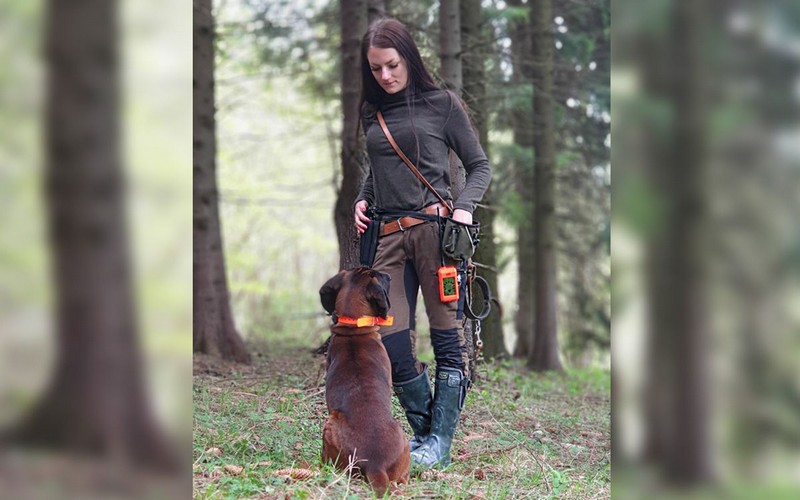 Používate psy pri naháňačkách a chcete mať dokonalý prehľad o ich práci?