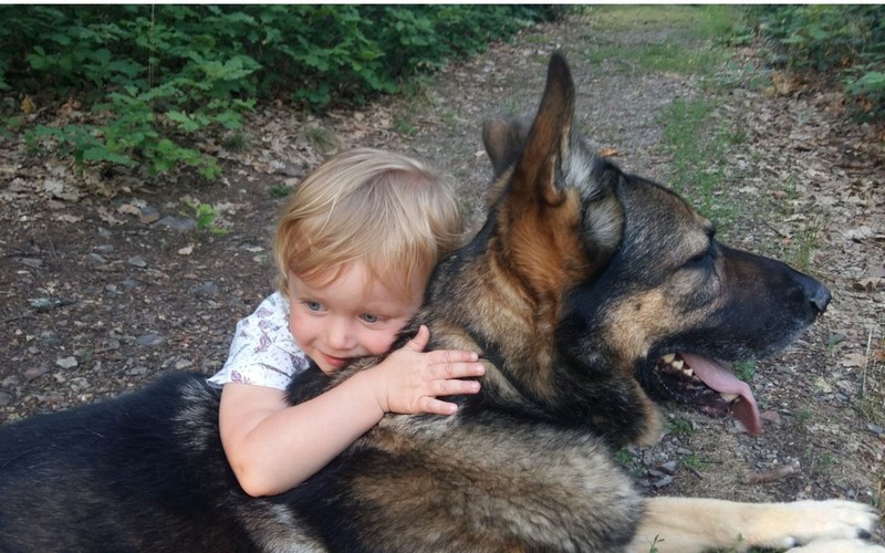 Výcvikový obojok nám slúži aj po mnohých rokoch