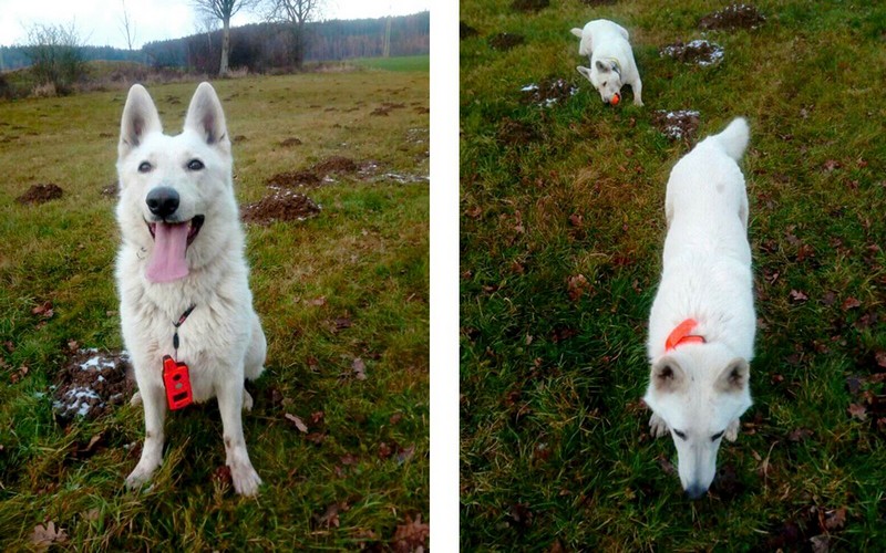 Dômyselne premyslené funkcie