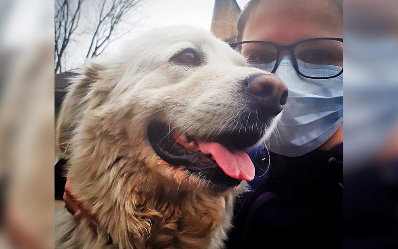 Venčenie psa počas karantény