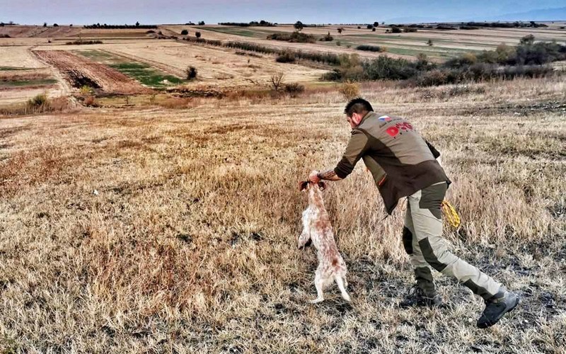 O produktoch Dogtrace - prvá časť