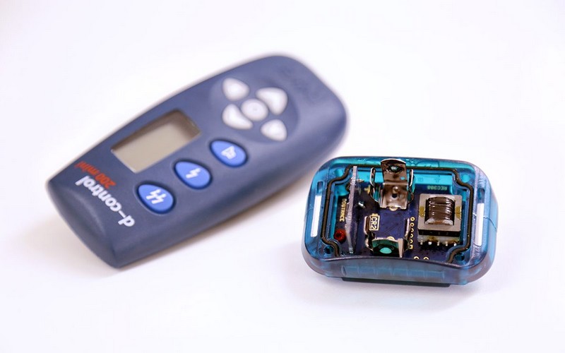 Recenzie a hodnotenia služieb