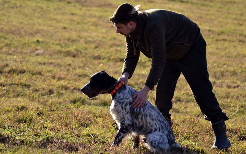 O produktoch Dogtrace - Tretia časť. Miniškola výcviku Pavla Thiela.