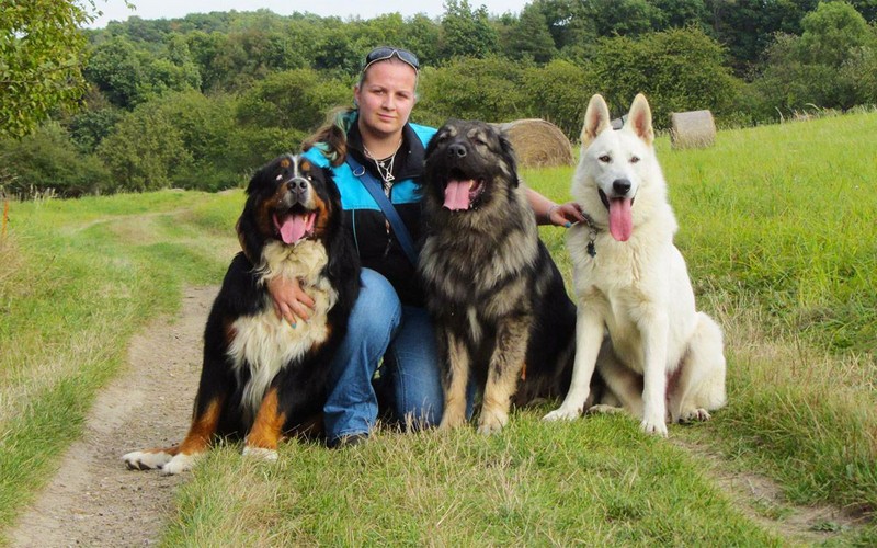 Nechcem sa so svojím psom ťahať za povraz. 7 rokov používam obojky Dogtrace.