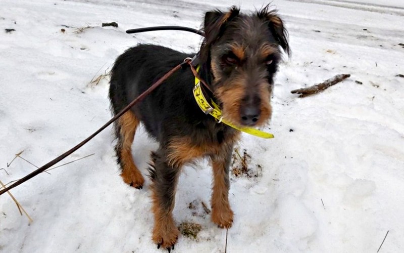 Maximálna spokojnosť už druhý rokMartin Pavlíček