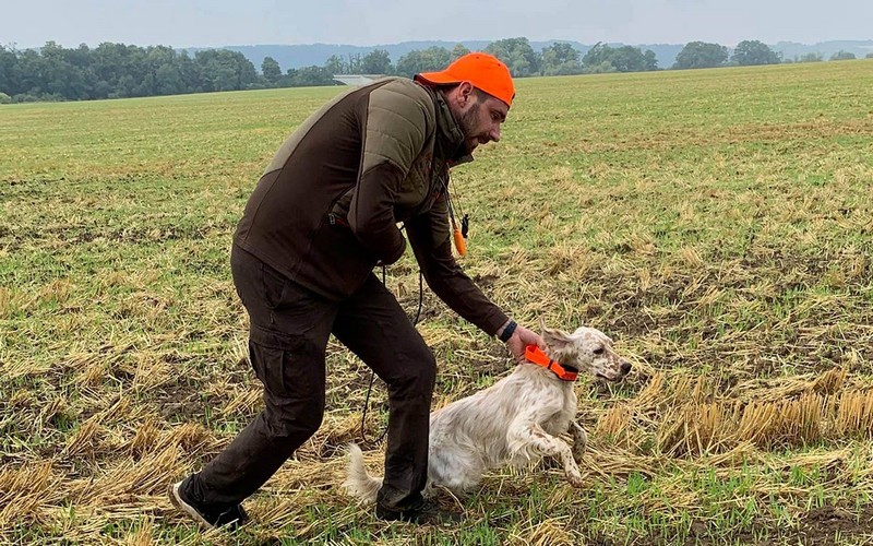 O produktoch Dogtrace - zväzok 6. Sloboda...