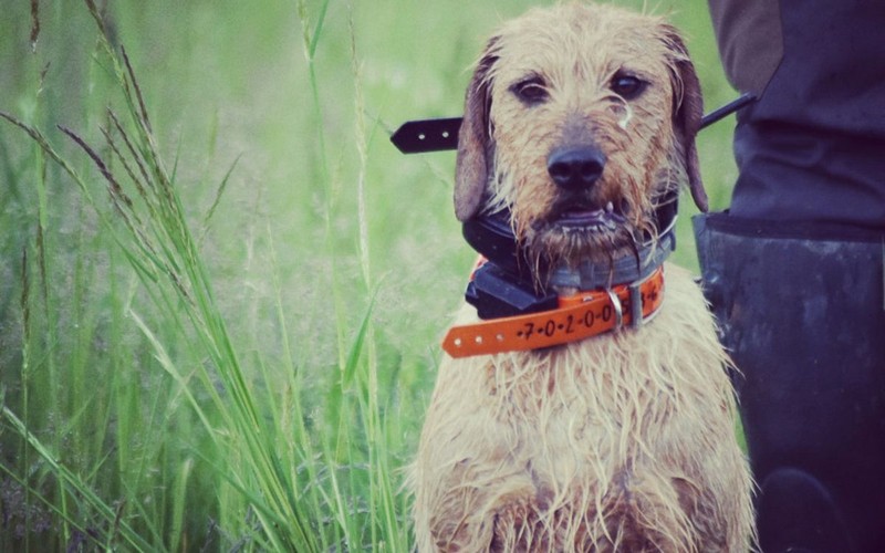 "S GPS X20 sa nemusím obávať straty signálu"hovorí Monika Formánková