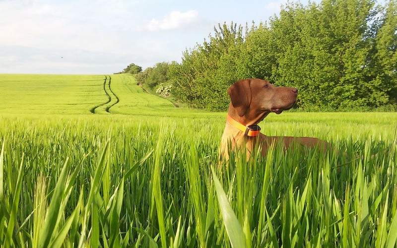 Kvalita aj po rokoch