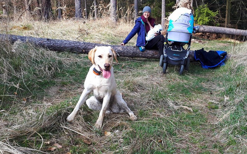 Už nebude bežať za jeleňom