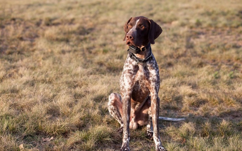 Z jesenných výletov
