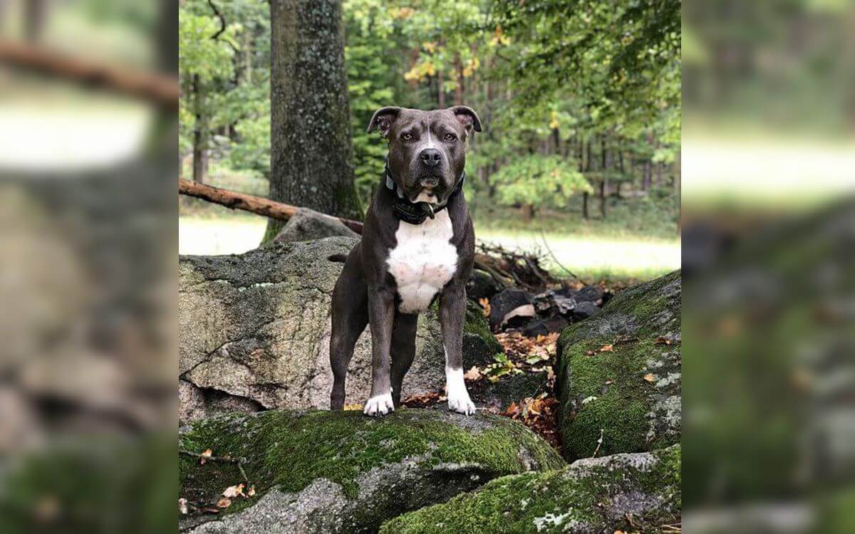 "Vyhrotené situácie riešime len vibráciami."
hovorí Daniel Hippo