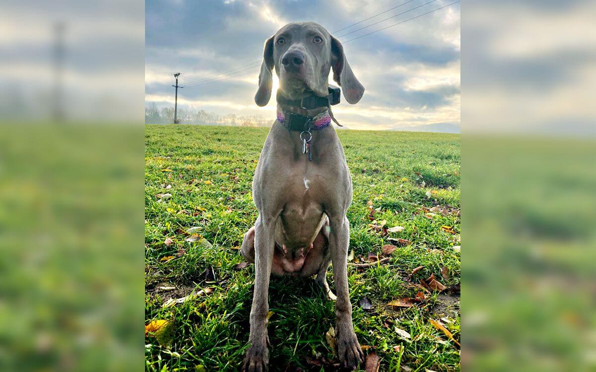 „Jednoduché ovládání, které zvládá i dcera“
říká Jaromír Stihel