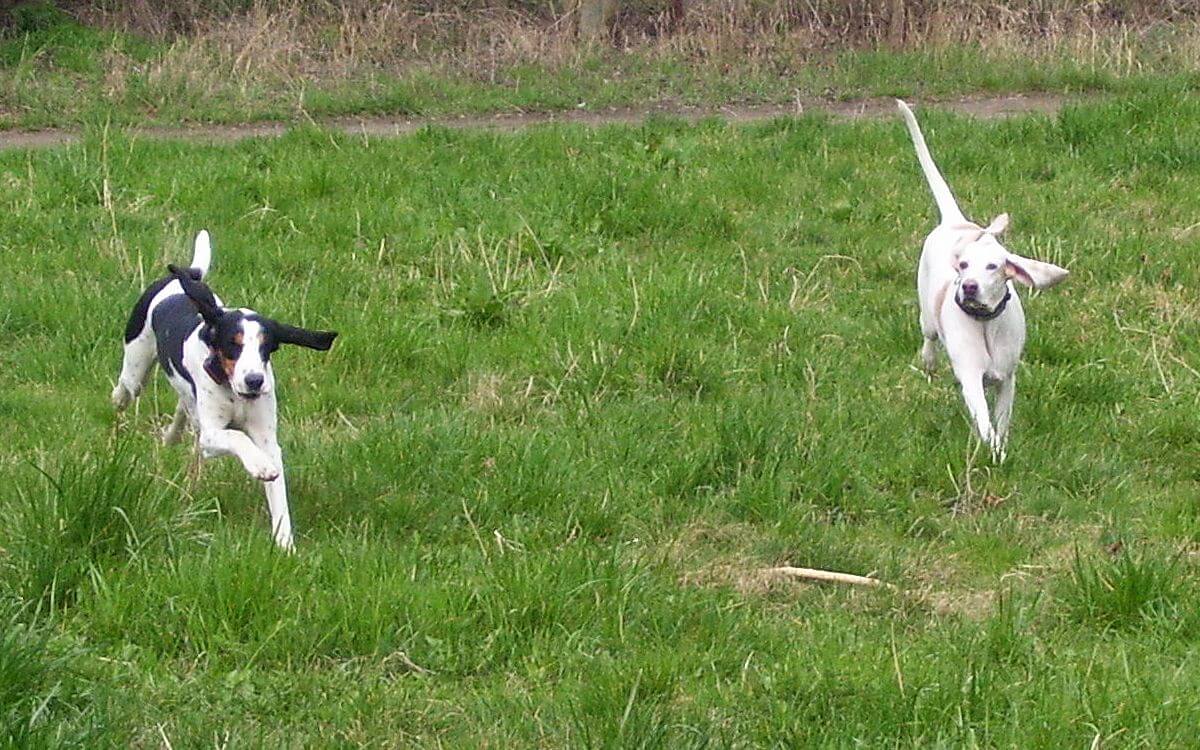 "Lovecký inštinkt sa nedá potlačiť"
hovorí spokojná zákazníčka Markéta