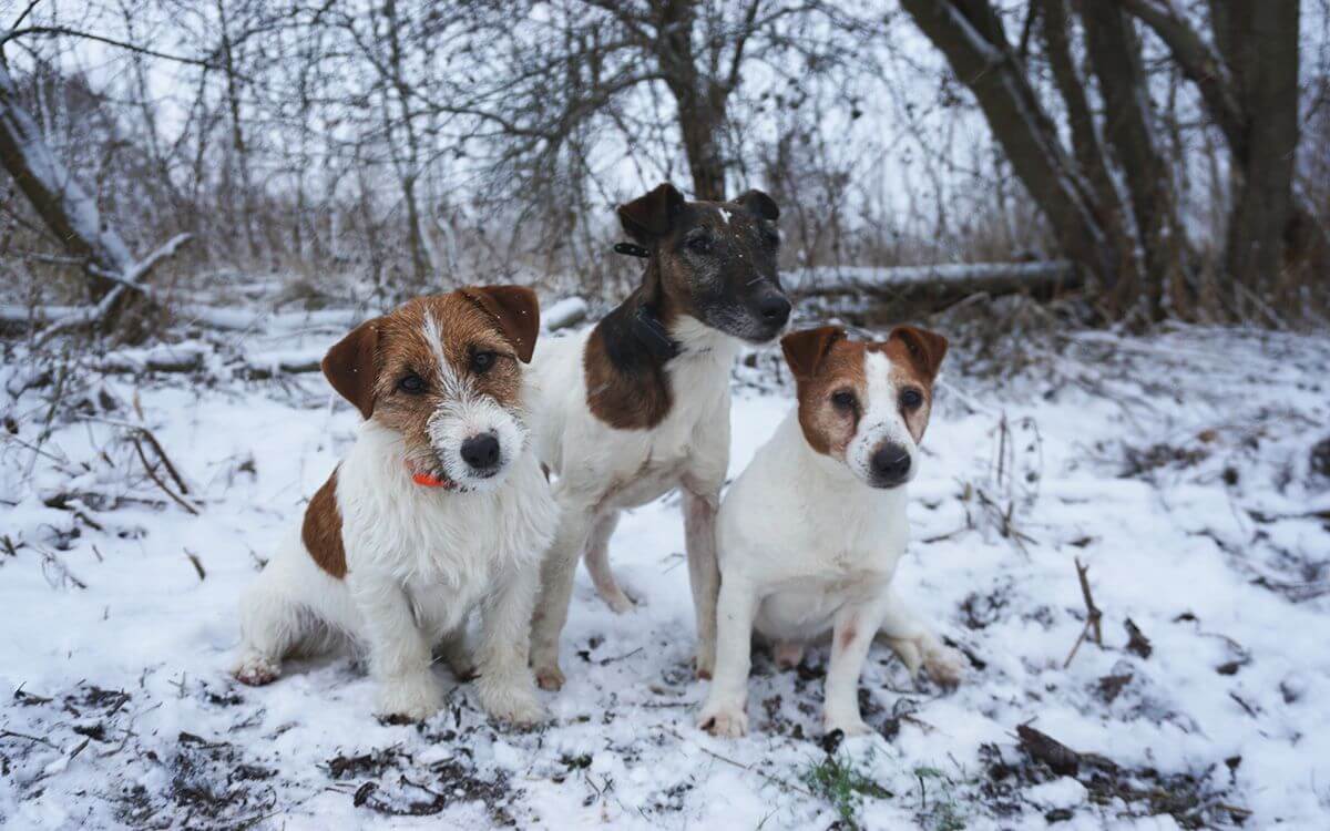 "Už si neviem predstaviť tréning bez tohto nástroja"
hovorí Monika Jeřábková