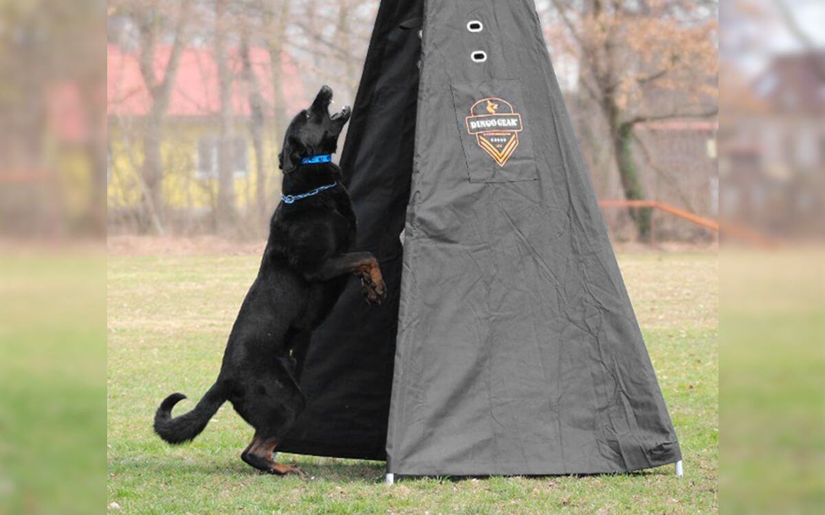 "Obojok používam pri športovej kynológii aj pri bežných prechádzkach. Kontrola je pre mňa pri psoch dôležitá!"
hovorí Vera Weber