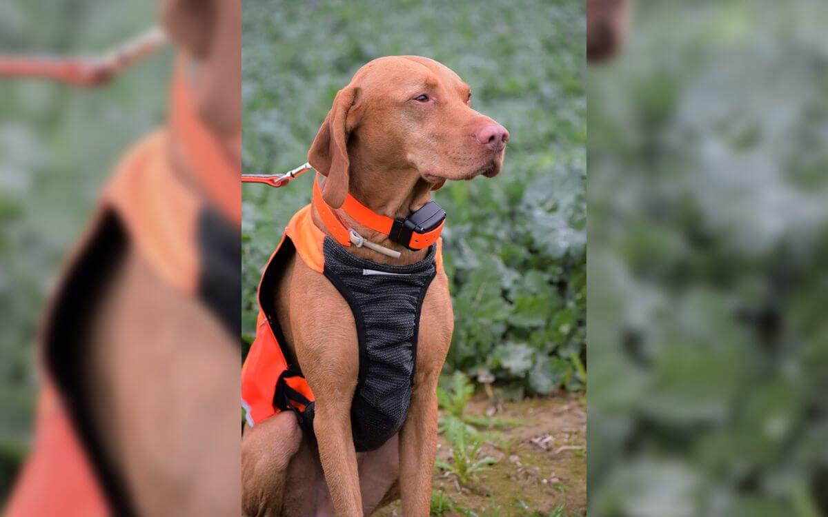 "Skutočne kvalitný výrobok s jednoduchým ovládaním"
hovorí Martina Miczek