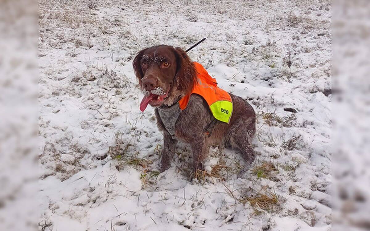 "Ďakujeme, že Grifík je vďaka obojku a veste v bezpečí"hovorí Jan Vicher 